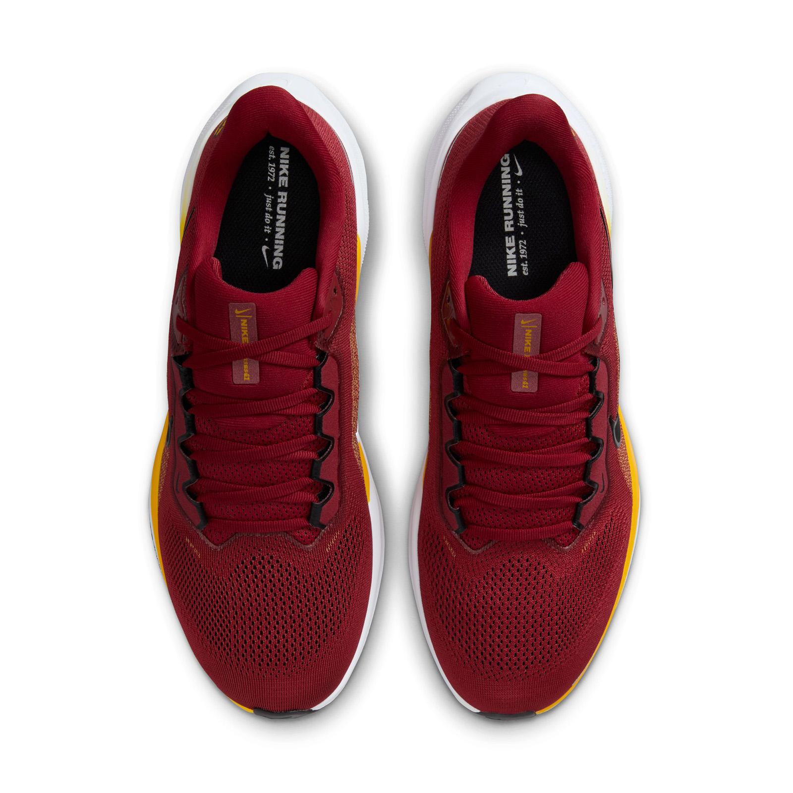 USC Cardinal 2